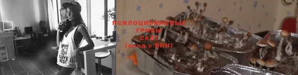 герыч Осташков
