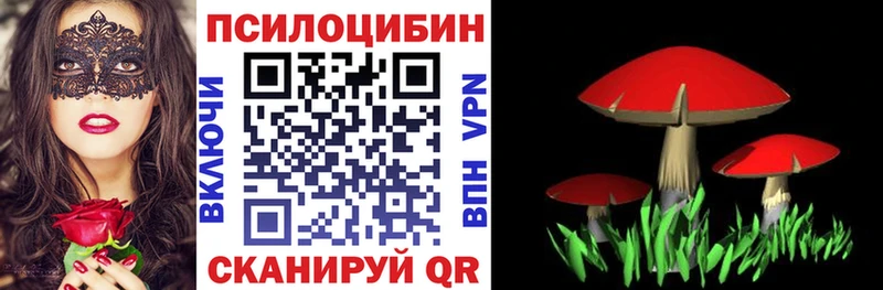 darknet телеграм omg ONION Ардатов Псилоцибиновые грибы MAGIC MUSHROOMS